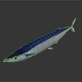 Catfish Carp Sturgeon Bass Freshwater Fish Various Carp Grass Carp Crucian Carp 3d model