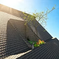 Roof Garden On Tiled Roof With Sunlight Tree Flowers And Blue Sky
