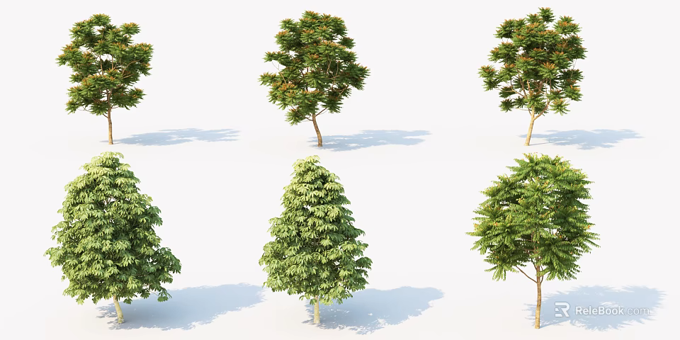 Different Arbor Varieties Featuring Green Foliage Various Shapes And Shadows On White Background 3d model