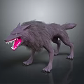 3D Wolf Model with Gray Fur Fierce Expression Open Mouth Sharp Teeth on Dark Ground 3d model