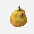 Fresh Ripe Pear with Yellowish Brown Skin Red Spots and Classic Pear Shape