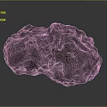 Natural Gray Stone Rock With Rough Porous Texture And Irregular Shape