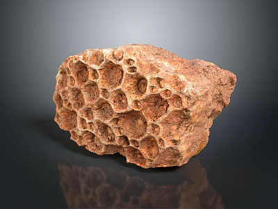 Honey Bee Hive Structure With Natural Hexagonal Cells And Intricate Patterns Close Up 3d model