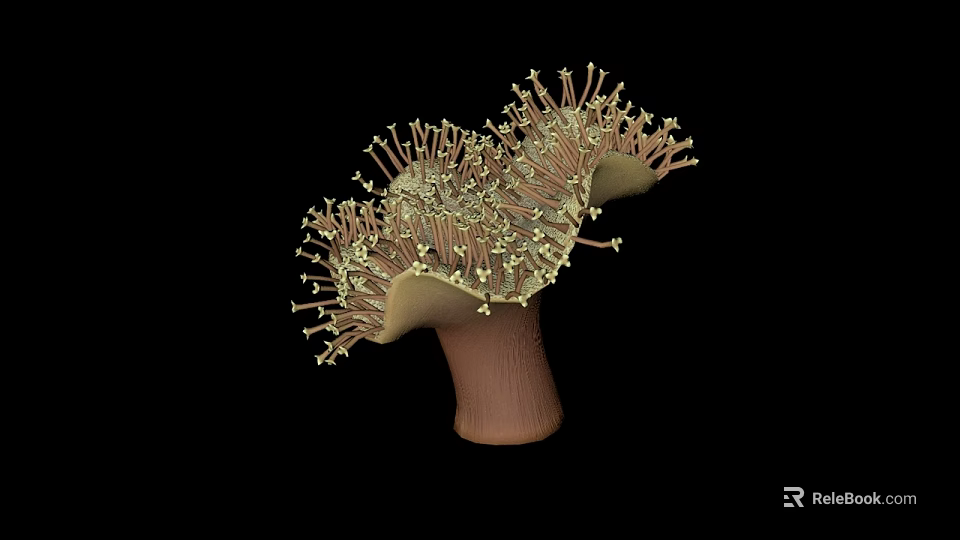 Branching Marine Coral Polyps with Brown Base and Yellow Tentacles in Ocean Habitat 3d model 