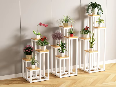 Garden Decor Featuring White And Wooden Plant Stands With Various Potted Plants 3d model