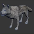 Realistic Wolf 3D Model With Gray White Fur And Standing Pose 3d model