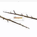 Natural Stone and Wood Branches for Rustic Decorative Projects 3d model
