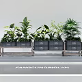 Assorted Plant Combination With Wooden Planters And Tropical Greenery For Indoor Decor