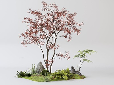 red maple tree model