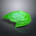 Vibrant fresh green leaf with clear visible veins on gray background