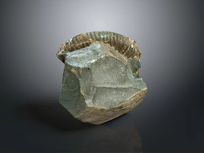 Unique Natural Fossil Stone Decorative Ornament For Home Living Space 3d model