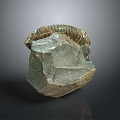 Unique Natural Fossil Stone Decorative Ornament For Home Living Space