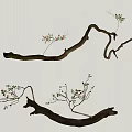 Small Succulent Plants Growing On Decorative Curved Branches With Light Colored Wall Background