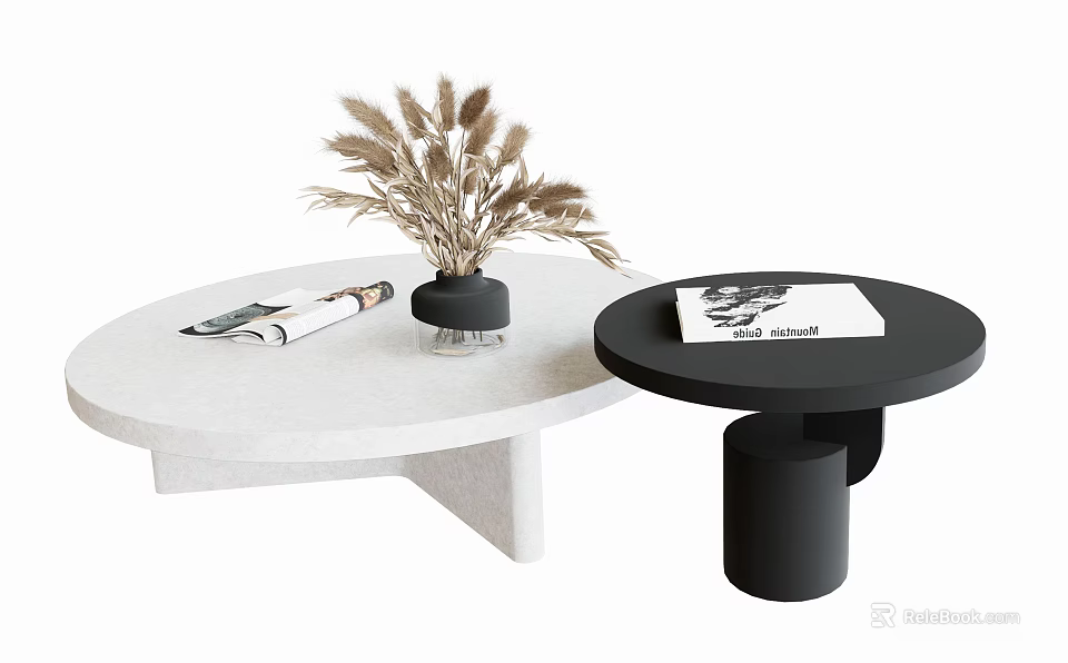 Minimalist White And Black Round Coffee Tables With Dried Pampas Grass Vase And Magazines 3d model 