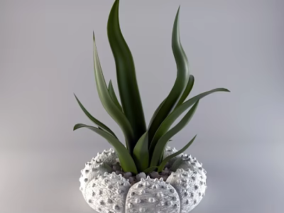Bonsai Potted Plant With Long Green Leaves In White Patterned Pot And Decorative Pebbles 3d model