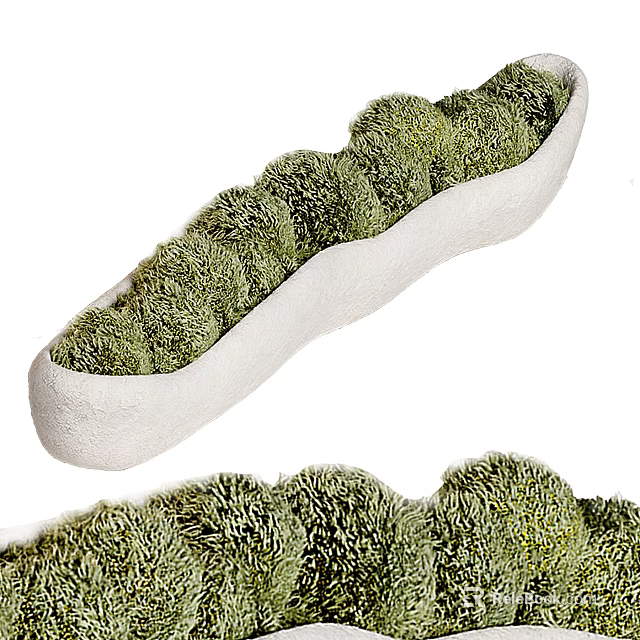Fresh Lush Green Round Flowers Neatly Arranged in White Elongated Planter 3d model 