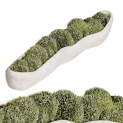 Fresh Lush Green Round Flowers Neatly Arranged in White Elongated Planter 3d model