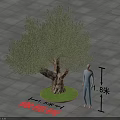 Garden Landscape Featuring Olive Tree With 3.5m Diameter On Square Paved Ground