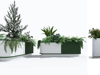 Modern Bonsai Potted Plants in Green and White Containers with Mixed Foliage 3d model