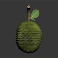 Fresh Durian Fruit With Spiky Green Exterior And Wooden Stem On Dark Background