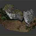 Wood and Stone Materials Natural Decorative Landscape with Moss Ferns and Earthy Ground