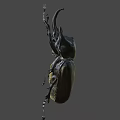 Detailed Bronze Beetle Sculpture With Realistic Horns And Legs Design