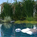 Scenic Natural Landscape With Tall Green Grass Calm Water Floating Stones And Blue Sky