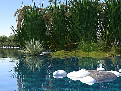 Scenic Natural Landscape With Tall Green Grass Calm Water Floating Stones And Blue Sky 3d model