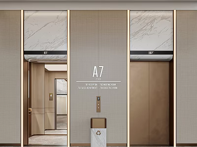 Modern Elevator Lobby Interior Design With A7 Marble Walls And Golden Trim 3d model