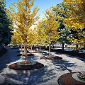 Urban Park Landscape With Golden Ginkgo Trees And Flower Beds