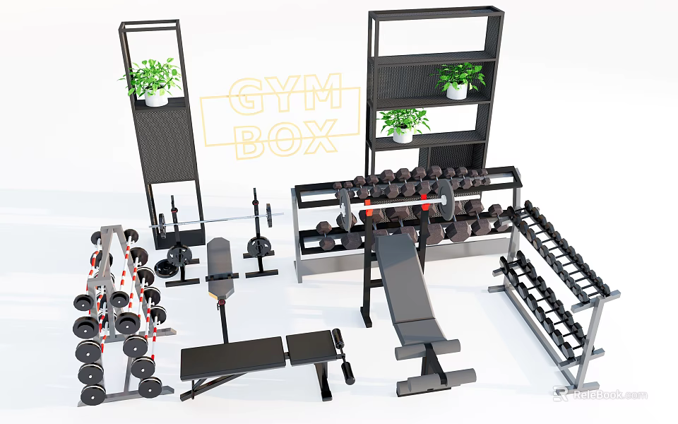 Gym Box Sports Equipment With Dumbbells Barbells Bench And Plant Shelves 3d model 