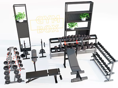 Gym Box Sports Equipment With Dumbbells Barbells Bench And Plant Shelves 3d model