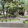 Serene Residential Landscape with Trees Lawn Pathway Flower Beds and Multi story Building