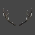 Natural Brown Deer Antlers As Decorative Wall Art For Rustic Homes