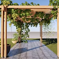 Lush Wooden Pergola With Grape Vines Green Leaves And Stone Pathway