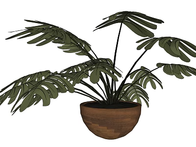 Green Leafy Potted Plant With Large Leaves In Wooden Pot For Indoor Decor 3d model