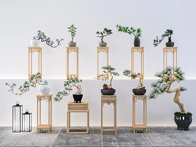 Traditional Chinese Wooden Flower Stands Holding Potted Bonsai Plants In Modern Interior 3d model