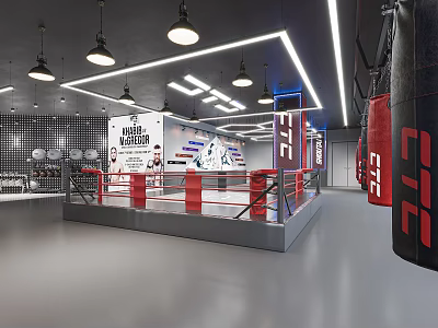 Modern Boxing Training Gym With Red Ring Punching Bags Posters And Bright Lights 3d model