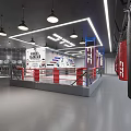 Modern Boxing Training Gym With Red Ring Punching Bags Posters And Bright Lights