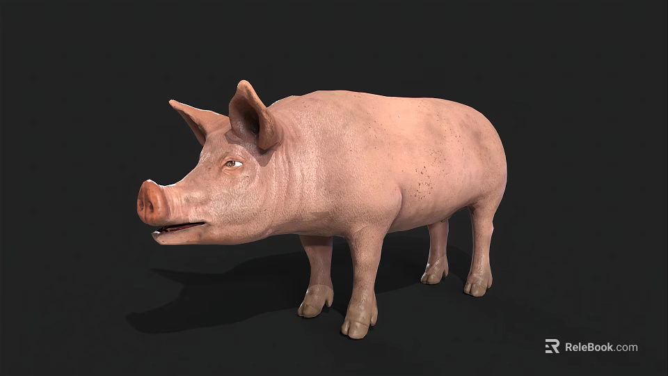 Realistic 3D Model Of A Pink Pig With Detailed Features And Smooth Texture 3d model 