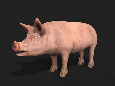 Realistic 3D Model Of A Pink Pig With Detailed Features And Smooth Texture 3d model
