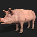 Realistic 3D Model Of A Pink Pig With Detailed Features And Smooth Texture