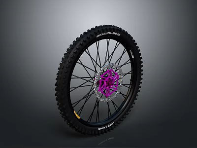 Bicycle Wheel With Black Maxxis Minion Tire Purple Hub Silver Spokes And Disc Brake 3d model
