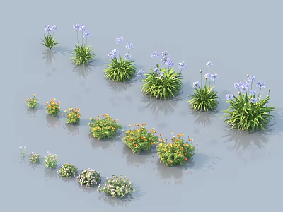 Various Colorful Flowers and Green Plants Including Purple Blooms Orange Flowers and Lush Green Foliage 3d model