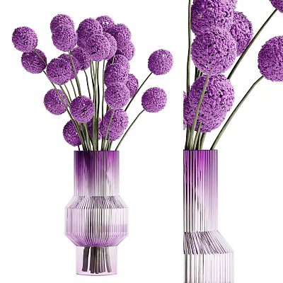 Beautiful Pom Pom Flowers Arranged In Purple Gradient Striped Glass Vase 3d model
