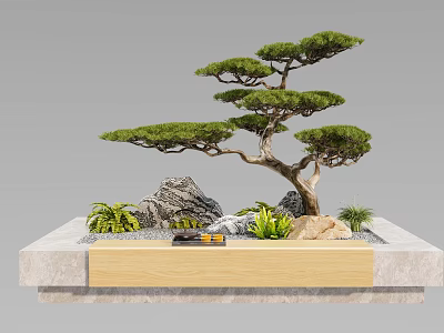 Bonsai Pine Tree Plant With Natural Rocks Small Green Plants And Wooden Stone Stand 3d model