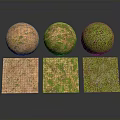 Three Textured Spheres and Cubes with Green and Brown Mossy Surfaces in 3D Render
