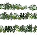 Diverse Plant Combination With Mixed Green Foliage And Various Leaf Shapes 3d model