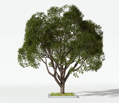 Lush Arbor With Dense Green Foliage Thick Trunk And Grassy Base 3d model
