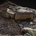 Wood And Stone Natural Materials With Rough Texture In Outdoor Scenery Elements